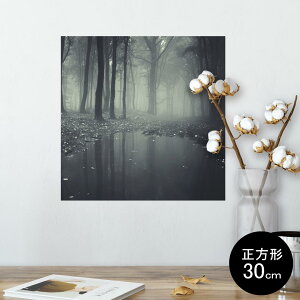 |X^[ EH[XebJ[ V[XebJ[  30×30cm Ssize `  CeA @ wall sticker poster 005900 ʐ^@X@