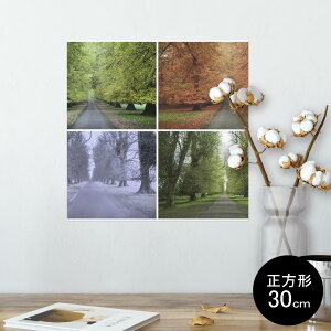 ポスター ウォールステッカー シール式ステッカー 飾り 30×30cm Ssize 正方形 壁 インテリア おしゃれ 剥がせる wall sticker poster 005921 写真 風景