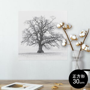 |X^[ EH[XebJ[ V[XebJ[  30×30cm Ssize `  CeA @ wall sticker poster 006011 CXg@A@