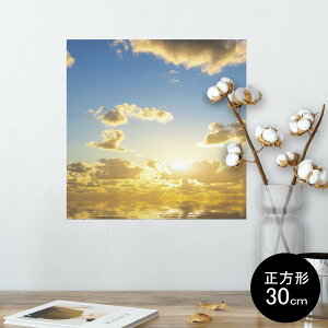 |X^[ EH[XebJ[ V[XebJ[  30×30cm Ssize `  CeA @ wall sticker poster 006326 ʐ^@C@@[