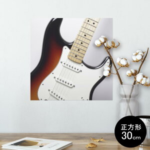|X^[ EH[XebJ[ V[XebJ[  30×30cm Ssize `  CeA @ wall sticker poster 006470 ʐ^@M^[
