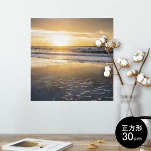 |X^[ EH[XebJ[ V[XebJ[  30×30cm Ssize `  CeA @ wall sticker poster 006548 ʐ^@C@[