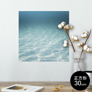 |X^[ EH[XebJ[ V[XebJ[  30×30cm Ssize `  CeA @ wall sticker poster 006566 ʐ^@C