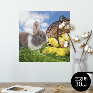 |X^[ EH[XebJ[ V[XebJ[  30×30cm Ssize `  CeA @ wall sticker poster 006581 ʐ^@@