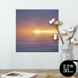 |X^[ EH[XebJ[ V[XebJ[  30×30cm Ssize `  CeA @ wall sticker poster 006610 ʐ^@C@@[