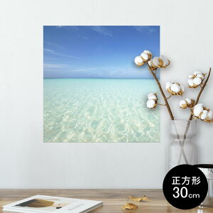 |X^[ EH[XebJ[ V[XebJ[  30×30cm Ssize `  CeA @ wall sticker poster 006724 ʐ^@C@