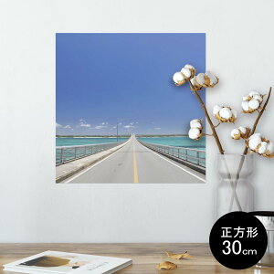 |X^[ EH[XebJ[ V[XebJ[  30×30cm Ssize `  CeA @ wall sticker poster 006742 ʐ^@C@H@