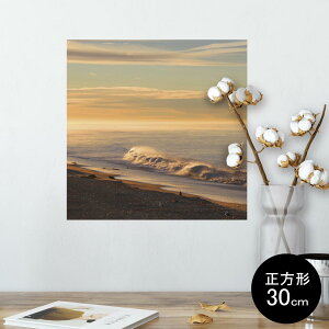 |X^[ EH[XebJ[ V[XebJ[  30×30cm Ssize `  CeA @ wall sticker poster 006788 ʐ^@C@