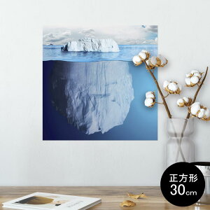 |X^[ EH[XebJ[ V[XebJ[  30×30cm Ssize `  CeA @ wall sticker poster 007876 ʐ^@C@@@u[