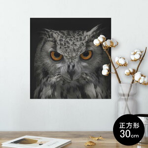 |X^[ EH[XebJ[ V[XebJ[  30×30cm Ssize `  CeA @ wall sticker poster 007937 ʐ^@tNE@@ubN