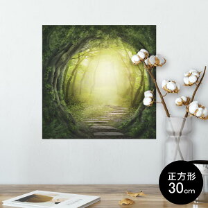 |X^[ EH[XebJ[ V[XebJ[  30×30cm Ssize `  CeA @ wall sticker poster 007948 X@i@CXg@΁@O[@A