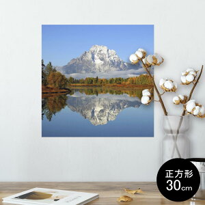 |X^[ EH[XebJ[ V[XebJ[  30×30cm Ssize `  CeA @ wall sticker poster 008162 ʐ^@i@R@΁@