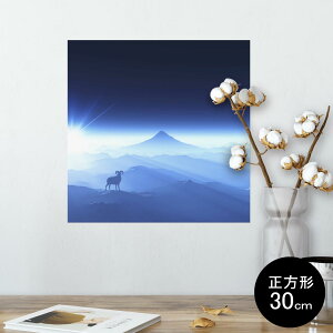 |X^[ EH[XebJ[ V[XebJ[  30×30cm Ssize `  CeA @ wall sticker poster 008459 i@R@@@u[