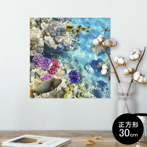 |X^[ EH[XebJ[ V[XebJ[  30×30cm Ssize `  CeA @ wall sticker poster 008923 ʐ^@@C@X