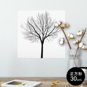 |X^[ EH[XebJ[ V[XebJ[  30×30cm Ssize `  CeA @ wall sticker poster 009179 mN@A@i
