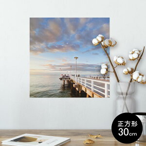|X^[ EH[XebJ[ V[XebJ[  30×30cm Ssize `  CeA @ wall sticker poster 009371 i@@ʐ^