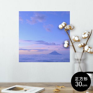 |X^[ EH[XebJ[ V[XebJ[  30×30cm Ssize `  CeA @ wall sticker poster 009377 i@iF@ʐ^