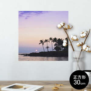 |X^[ EH[XebJ[ V[XebJ[  30×30cm Ssize `  CeA @ wall sticker poster 009393 i@iF@ʐ^