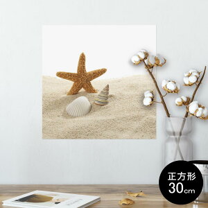 |X^[ EH[XebJ[ V[XebJ[  30×30cm Ssize `  CeA @ wall sticker poster 009536 Lk@C@ʐ^