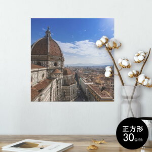 |X^[ EH[XebJ[ V[XebJ[  30×30cm Ssize `  CeA @ wall sticker poster 009605 i@O@ʐ^