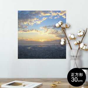 |X^[ EH[XebJ[ V[XebJ[  30×30cm Ssize `  CeA @ wall sticker poster 009609 i@@ʐ^