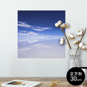 |X^[ EH[XebJ[ V[XebJ[  30×30cm Ssize `  CeA @ wall sticker poster 009610 i@@C@ʐ^