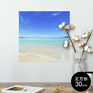 |X^[ EH[XebJ[ V[XebJ[  30×30cm Ssize `  CeA @ wall sticker poster 009637 i@C@@ʐ^