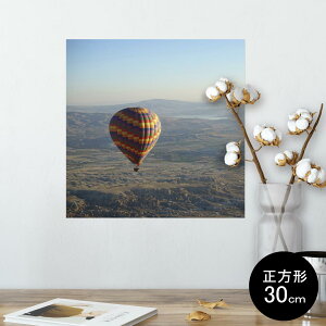 |X^[ EH[XebJ[ V[XebJ[  30×30cm Ssize `  CeA @ wall sticker poster 009683 C@i@ʐ^
