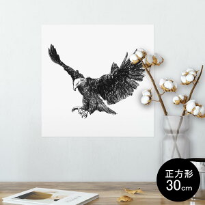 |X^[ EH[XebJ[ V[XebJ[  30×30cm Ssize `  CeA @ wall sticker poster 009728 @a@a
