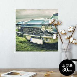 |X^[ EH[XebJ[ V[XebJ[  30×30cm Ssize `  CeA @ wall sticker poster 009743 ԁ@g@ʐ^