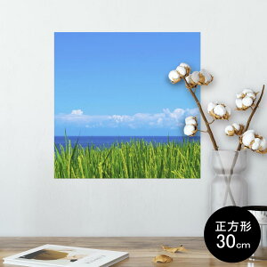 |X^[ EH[XebJ[ V[XebJ[  30×30cm Ssize `  CeA @ wall sticker poster 009748 i@@C@ʐ^