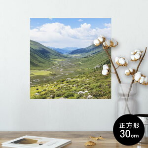 |X^[ EH[XebJ[ V[XebJ[  30×30cm Ssize `  CeA @ wall sticker poster 009763 i@iF@ʐ^