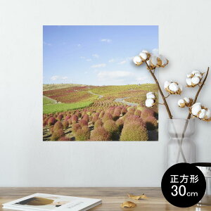 |X^[ EH[XebJ[ V[XebJ[  30×30cm Ssize `  CeA @ wall sticker poster 009816 i@iF@ʐ^