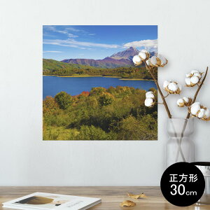 |X^[ EH[XebJ[ V[XebJ[  30×30cm Ssize `  CeA @ wall sticker poster 009833 i@iF@ʐ^