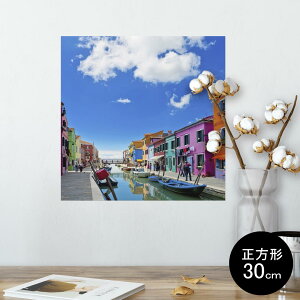 |X^[ EH[XebJ[ V[XebJ[  30×30cm Ssize `  CeA @ wall sticker poster 009835 O@i@ʐ^
