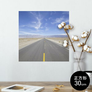|X^[ EH[XebJ[ V[XebJ[  30×30cm Ssize `  CeA @ wall sticker poster 009893 i@iF@ʐ^