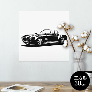 |X^[ EH[XebJ[ V[XebJ[  30×30cm Ssize `  CeA @ wall sticker poster 010033 蕨@ԁ@mN