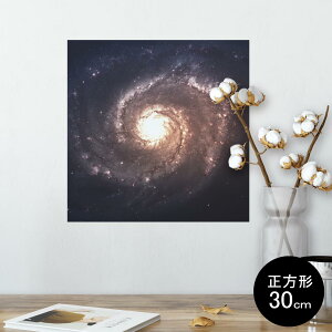 |X^[ EH[XebJ[ V[XebJ[  30×30cm Ssize `  CeA @ wall sticker poster 010185 @F@i