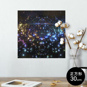 �|�X�^�[ �E�H�[���X�e�b�J�[ �V�[�����X�e�b�J�[ ���� 30×30cm Ssize �����` �� �C���e���A �������@�������� wall sticker poster 010199 �L���L���@�F���@�J���t��