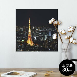 |X^[ EH[XebJ[ V[XebJ[  30×30cm Ssize `  CeA @ wall sticker poster 010228 i@i@ʐ^