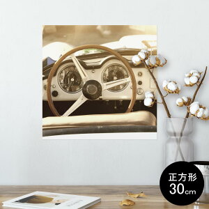 |X^[ EH[XebJ[ V[XebJ[  30×30cm Ssize `  CeA @ wall sticker poster 010368 蕨@ԁ@ʐ^