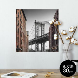 |X^[ EH[XebJ[ V[XebJ[  30×30cm Ssize `  CeA @ wall sticker poster 010369 i@iF@ʐ^