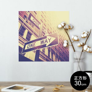 |X^[ EH[XebJ[ V[XebJ[  30×30cm Ssize `  CeA @ wall sticker poster 010381 i@iF@ʐ^