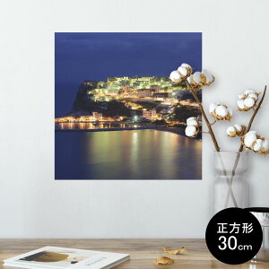 |X^[ EH[XebJ[ V[XebJ[  30×30cm Ssize `  CeA @ wall sticker poster 010382 i@iF@ʐ^