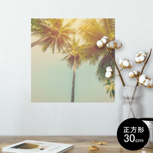 |X^[ EH[XebJ[ V[XebJ[  30×30cm Ssize `  CeA @ wall sticker poster 010529 V̖؁@i