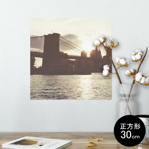 |X^[ EH[XebJ[ V[XebJ[  30×30cm Ssize `  CeA @ wall sticker poster 010766 i@ʐ^@iF