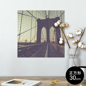 |X^[ EH[XebJ[ V[XebJ[  30×30cm Ssize `  CeA @ wall sticker poster 010768 i@ʐ^@iF