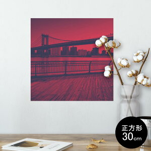 |X^[ EH[XebJ[ V[XebJ[  30×30cm Ssize `  CeA @ wall sticker poster 010769 i@ʐ^@
