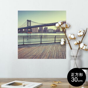 |X^[ EH[XebJ[ V[XebJ[  30×30cm Ssize `  CeA @ wall sticker poster 010770 i@ʐ^@iF