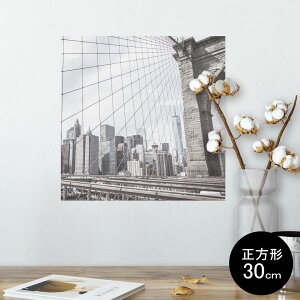 |X^[ EH[XebJ[ V[XebJ[  30×30cm Ssize `  CeA @ wall sticker poster 010799 i@ʐ^@iF